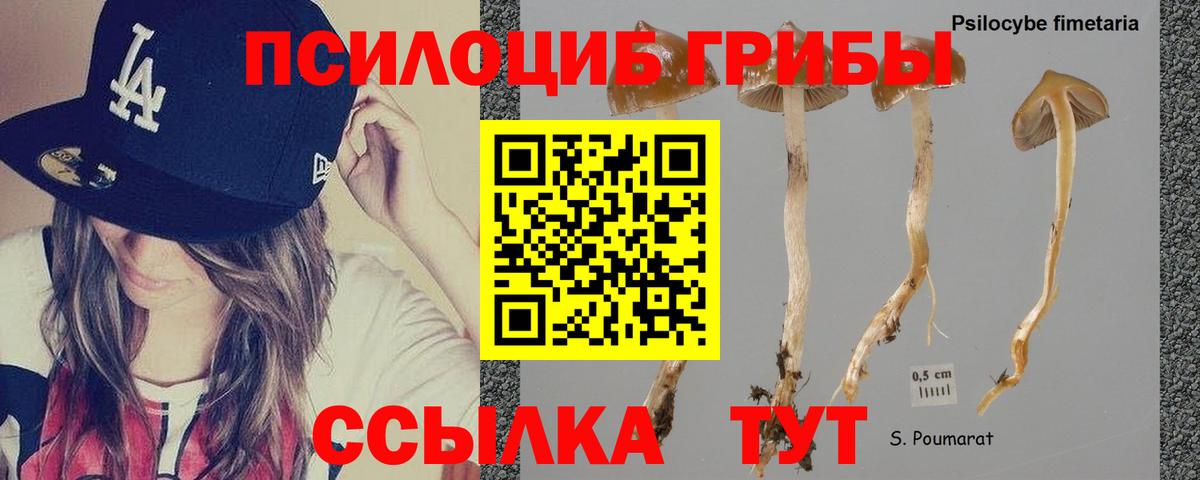 Галлюциногенные грибы Psilocybine cubensis  Вход с VPN  Боровичи 