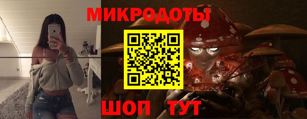 Псилоцибиновые грибы Psilocybine cubensis Боровичи